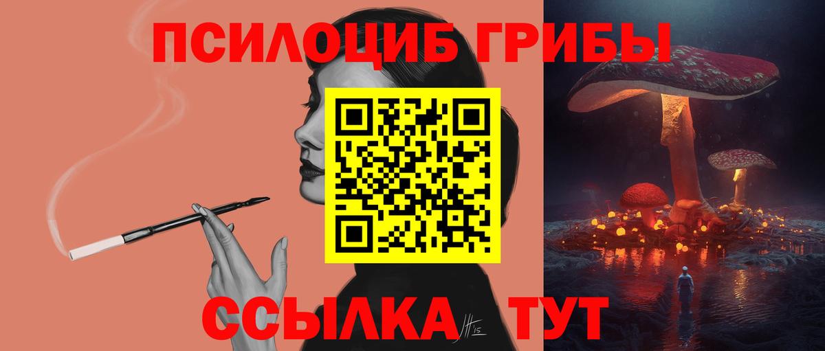 Прокопьевск  Псилоцибиновые грибы MAGIC MUSHROOMS  Вход с VPN 